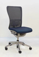 Haworth Zody Chair, Mineral, Polished Base, All Features, No Arms, Adjustable Lumbar Support