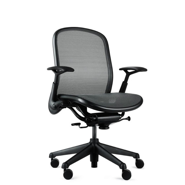 Knoll Chadwick Chair, Standard Adjustments