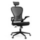 Humanspine  Big/Tall Office Chair by ModSavy Brand NEW