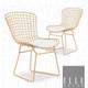 Wire Dining Side Chair in French Gold (Set of 2) By Mod Savy
